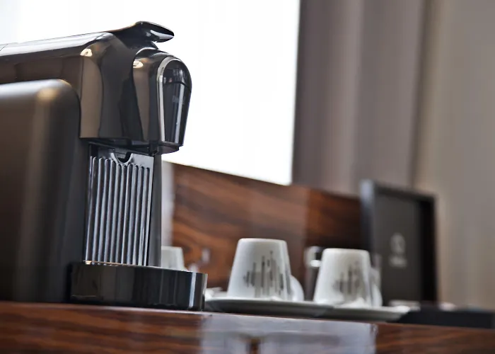 特里姆阿拉萨尔达尼亚酒店 酒店 4*